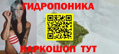 jwh Кинель