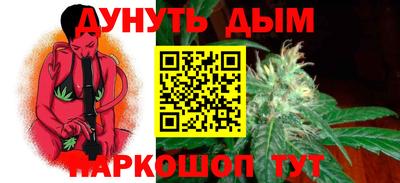 МДПВ Кингисепп