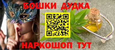 МДПВ Кингисепп