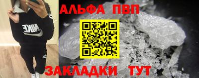МДПВ Кингисепп