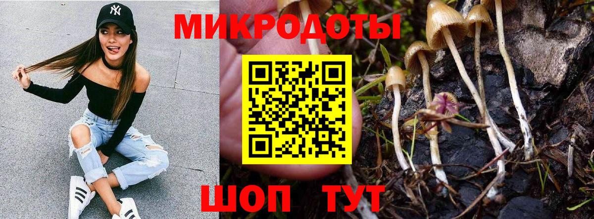 Галлюциногенные грибы прущие грибы  Псилоцибиновые грибы Cubensis  Вход с VPN  Красноуфимск 